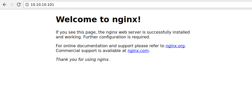 nginx-default-page-service.png