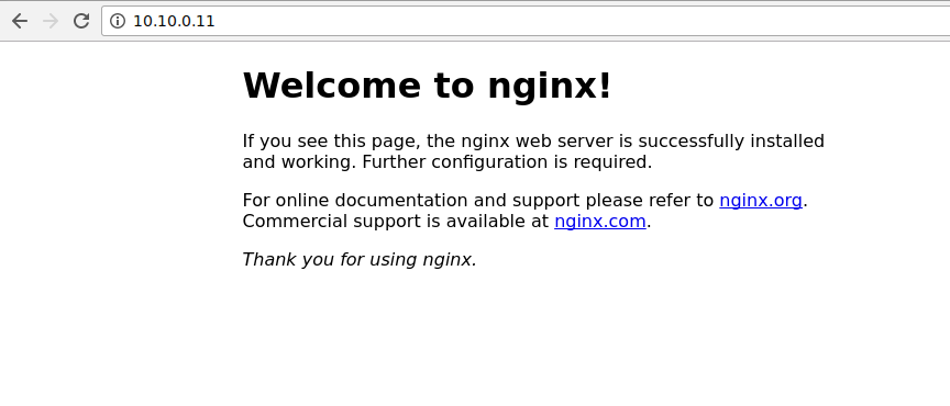 nginx-default-page.png